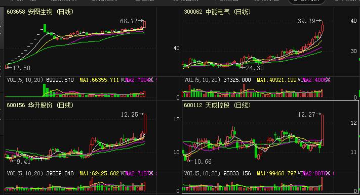 天成控股公司最新动态更新，最新消息汇总