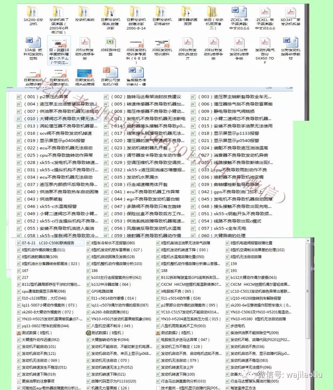 最新免费资源的深度解析与观点论述