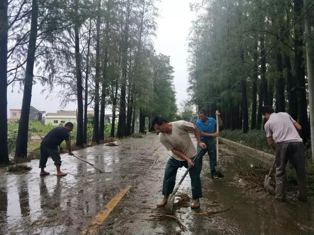 十四台风最新动态，风暴之眼，时代印记的关注焦点