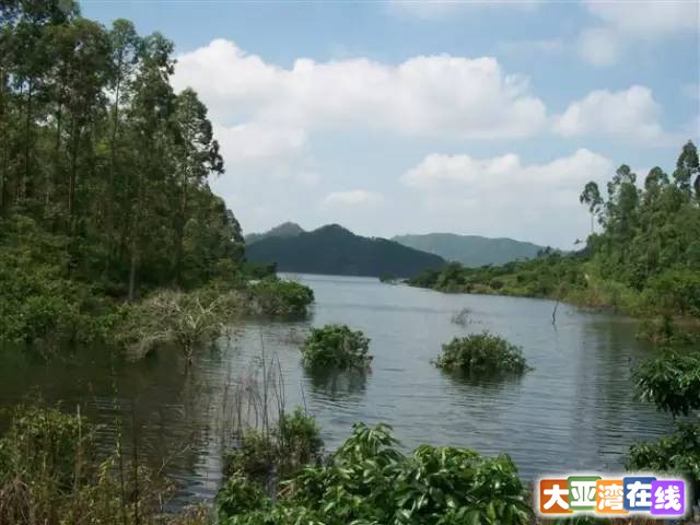 大亚湾塘横最新资讯，小巷深处的独特风味