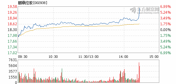 鹏鼎控股股票深度解析与投资洞察全攻略