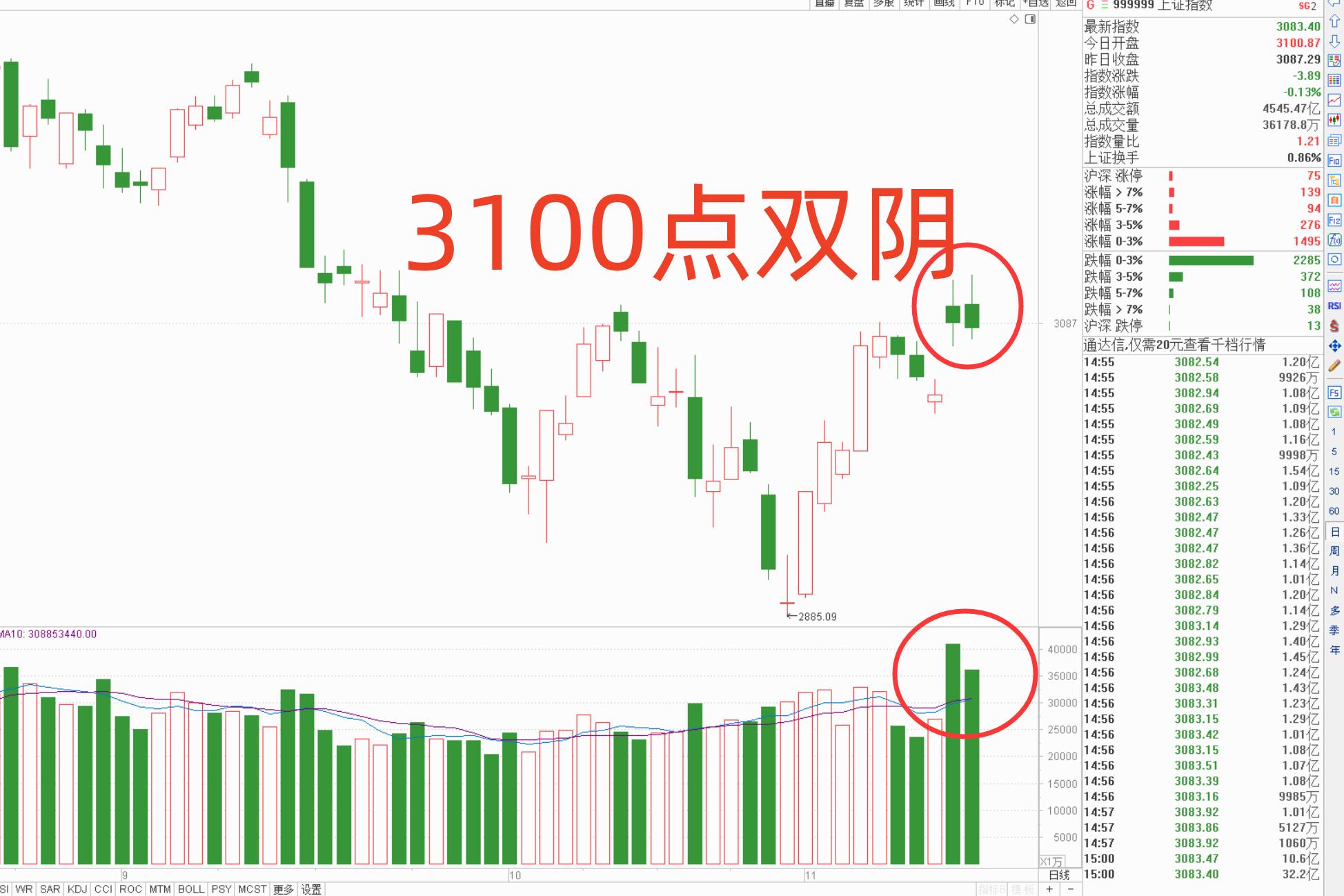 公司简介 第259页
