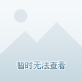 公司简介 第258页