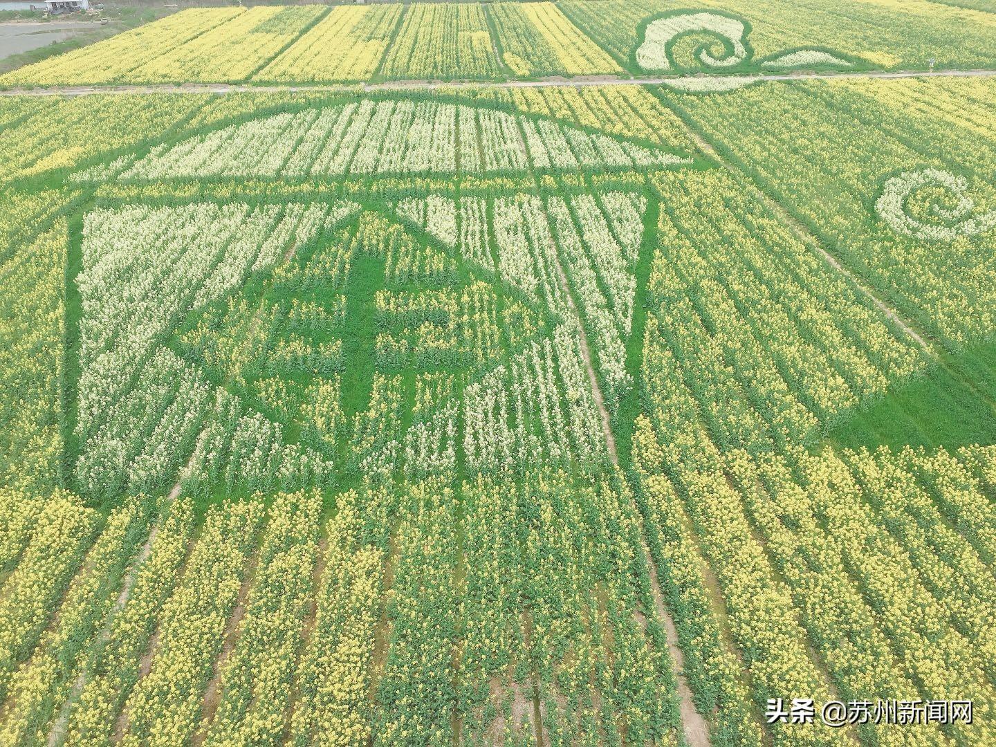 昆山明星,昆山明星，一场自然美景的探索之旅