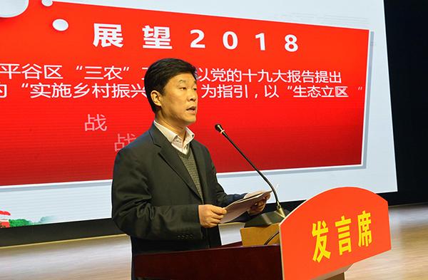 案例展示 第251页
