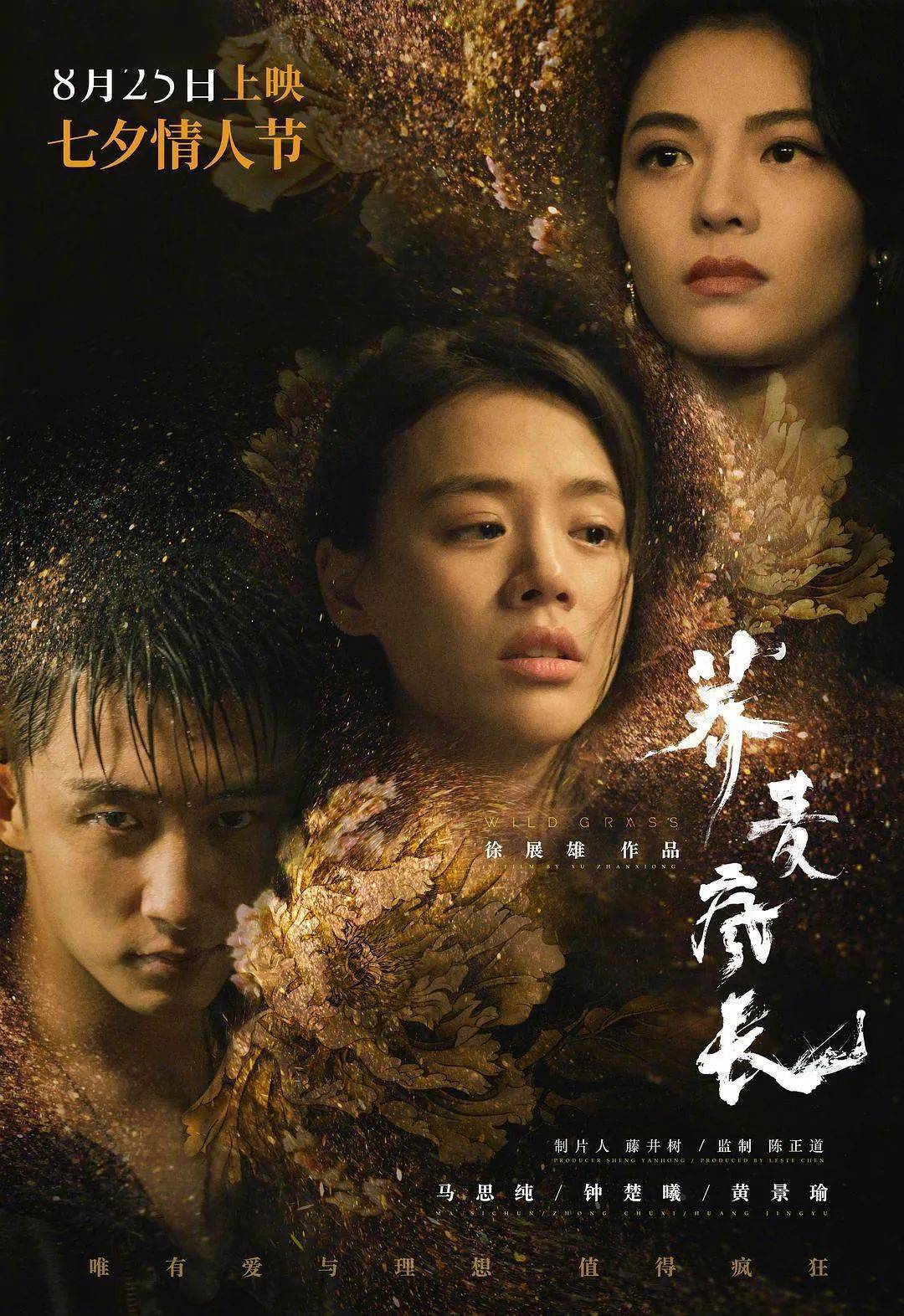案例展示 第246页