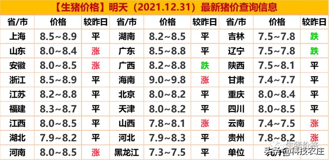 最新猪价信息与市场走势分析与预测