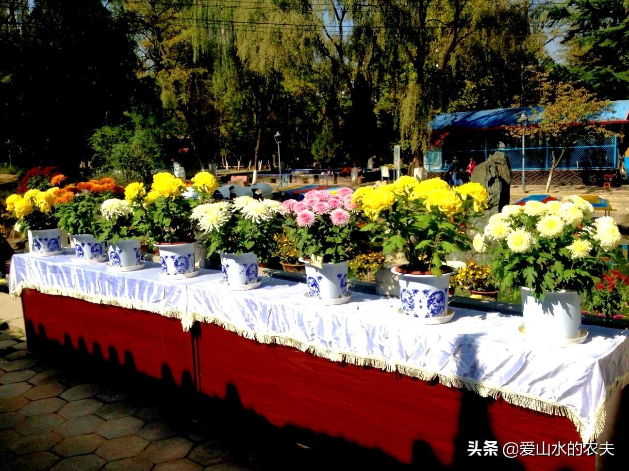 天水市最新楼盘，开启自然美景探索之旅的居住胜地