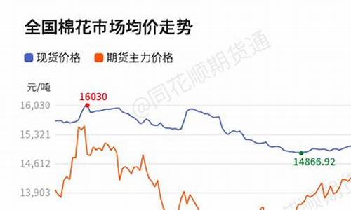 棉花期货最新动态与市场走势深度分析