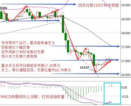 现货白银最新行情分析，市场动态与趋势解读