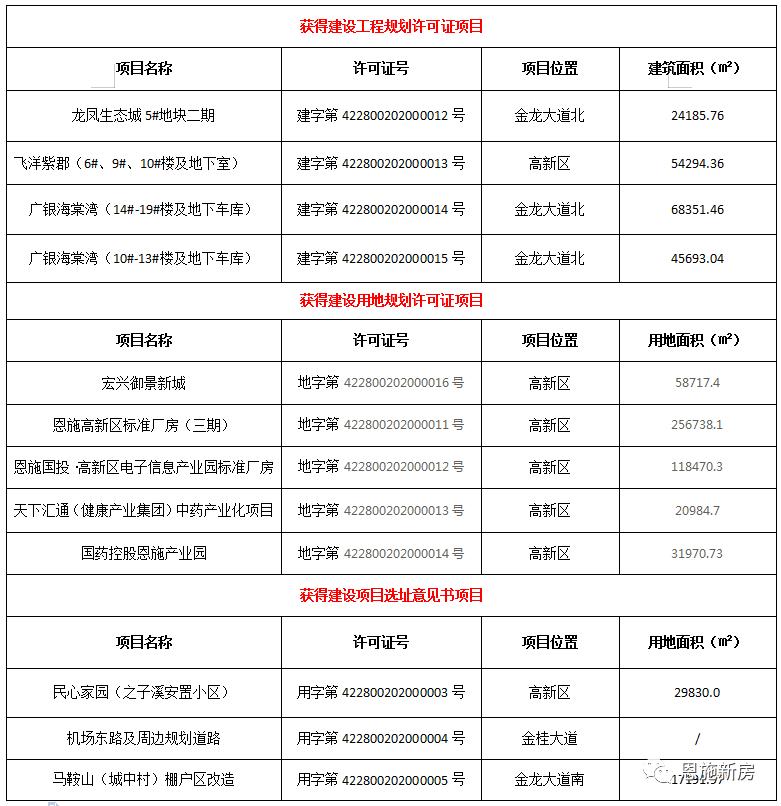 龙凤生态城最新动态，独特风情小店深度揭秘