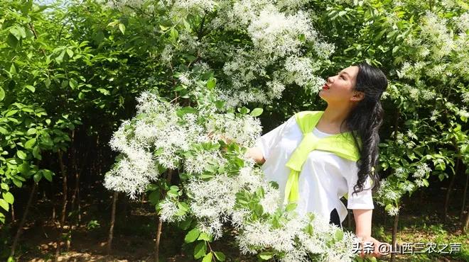 夏县最新招聘临时工，变化、学习与自信的力量驱动职场机遇
